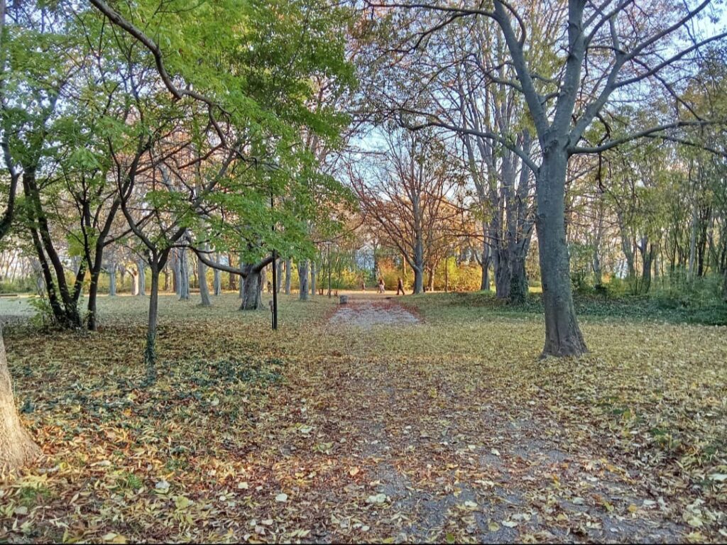 פארק בוארנה בולגריה